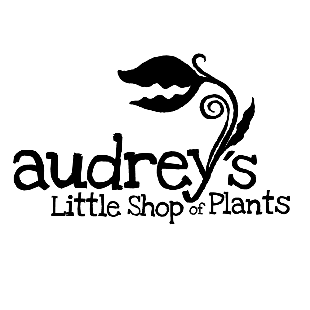 Audrey’s Little Shop of Plants