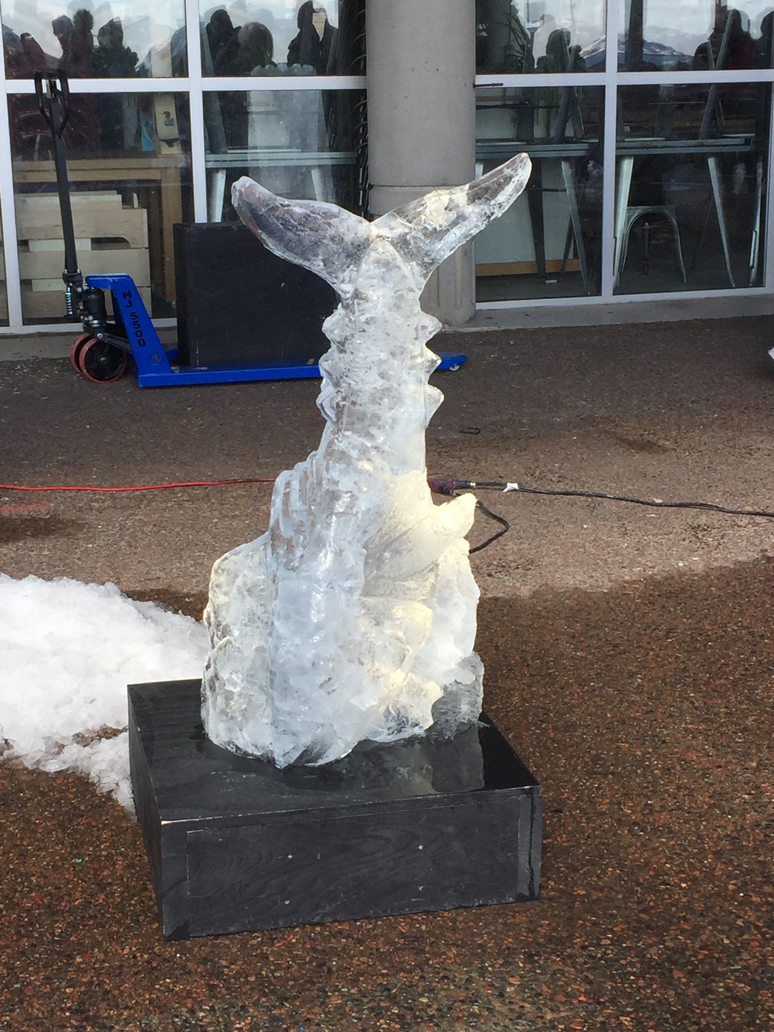 The Downtown Dartmouth Ice Festival photo @almightypossum